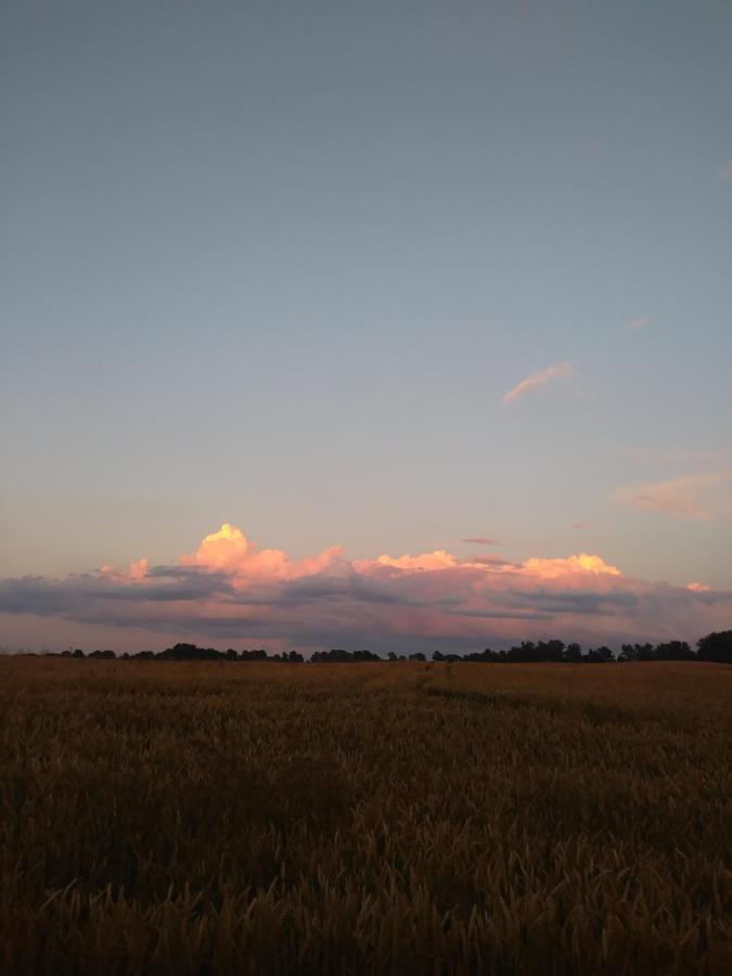 Ferienwohnung Miejsce Mocy Mazury Kolno  Exterior foto