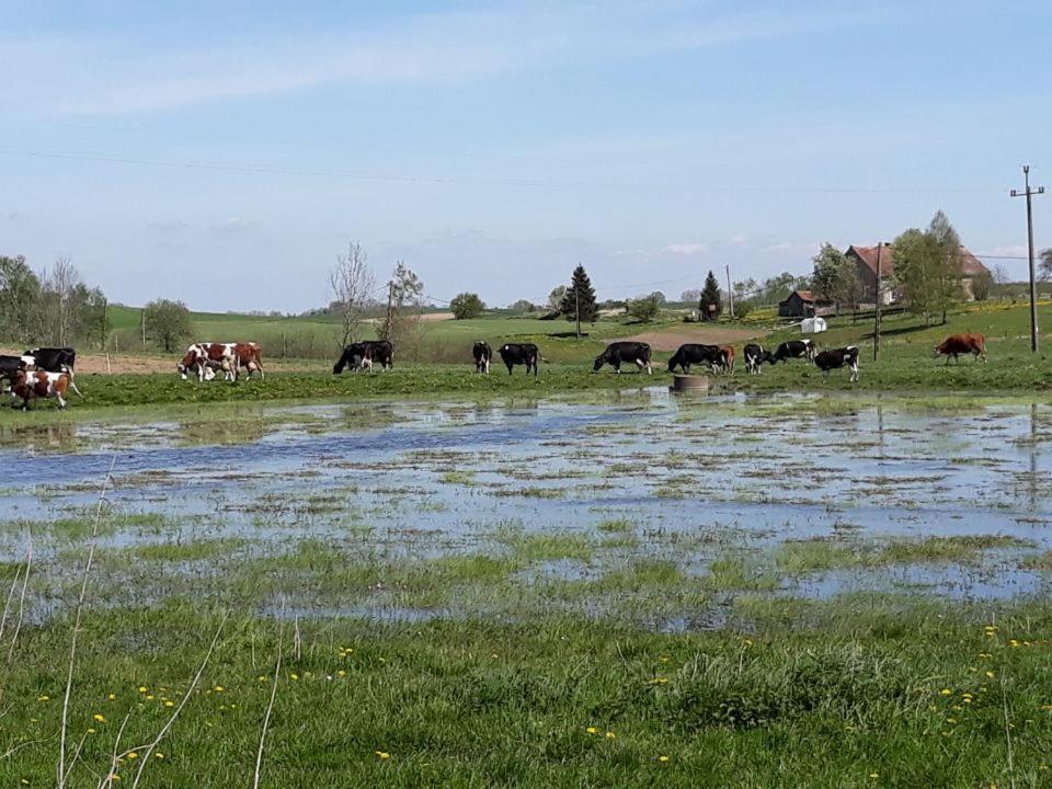Ferienwohnung Miejsce Mocy Mazury Kolno  Exterior foto