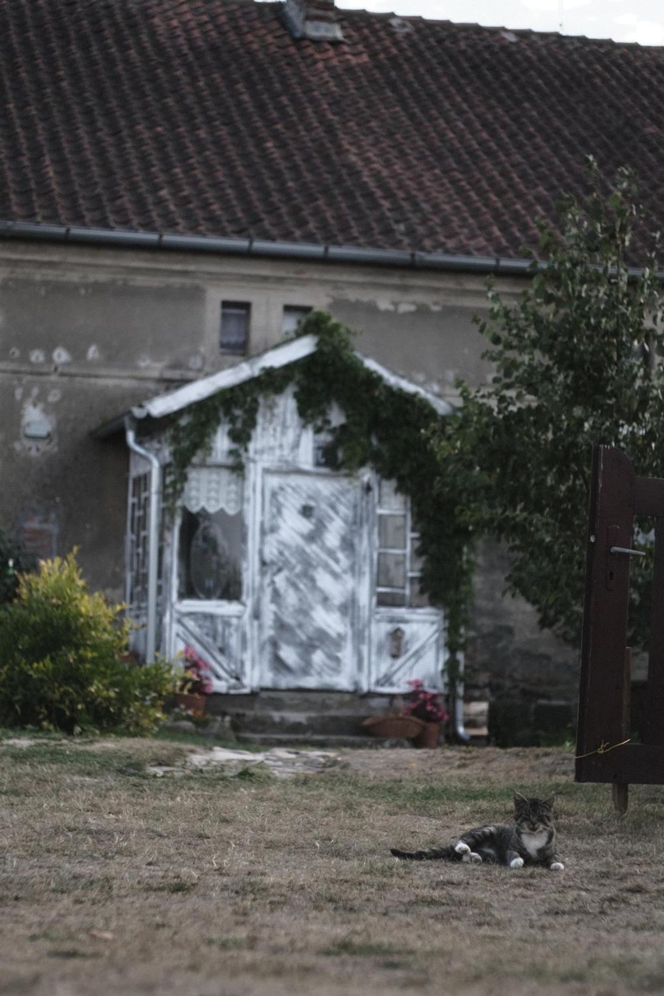Ferienwohnung Miejsce Mocy Mazury Kolno  Exterior foto